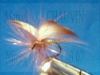 Mouche_de_colection_papillon3.jpg