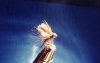 mouche__collection02.jpg
