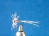 mouche_de_collection_araigne_a_corp_ray.jpg