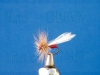 mouche_de_collection_fourmie_rouge_aille.jpg