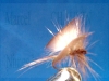 mouche_de_collection_papillon1.jpg