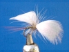 mouche_de_collection_papillon4.jpg