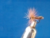Filename=mouche_de_collection_sedge2.jpg
Filesize=249KB
Dimensions=800x600
Date added=Jul 15, 2007 mouche_de_collection_sedge2.jpg