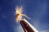 mouche_de_mai_collection.jpg