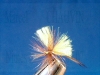 rousse_a_aile_jaune.jpg
