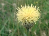 Filename=50400075.jpg
Filesize=319KB
Dimensions=800x600
Date added=Jul 17, 2007 50400075.jpg