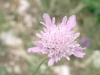 Filename=50400128.jpg
Filesize=259KB
Dimensions=800x600
Date added=Jul 17, 2007 50400128.jpg