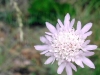 50400181.jpg